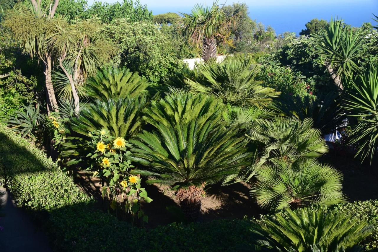 Oasi Di Villa Damecuta Anacapri Kültér fotó